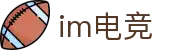 IM(股份有限公司)电竞 - 电子竞技平台